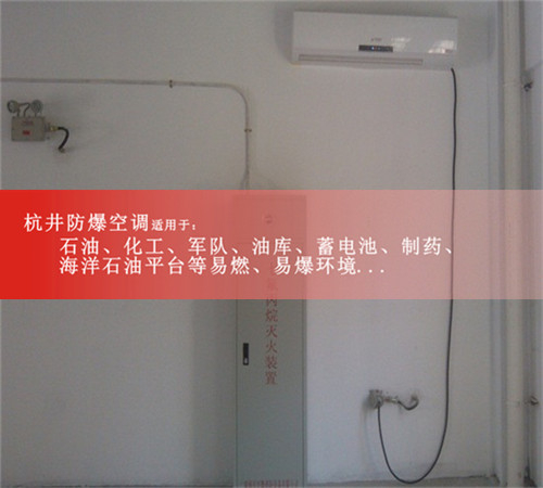 硫化氫倉(cāng)庫(kù)防爆空調(diào)機(jī)案例圖