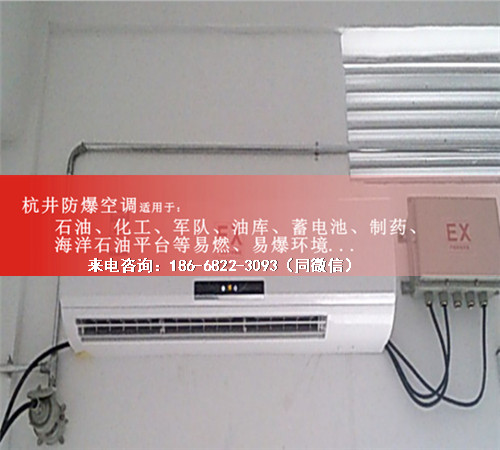 冷庫房防爆空調(diào)機案例圖