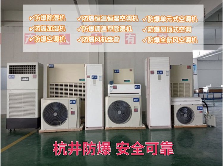 防爆恒溫恒濕機精密空調(diào)實驗室醫(yī)藥制藥生物防爆恒溫恒濕機